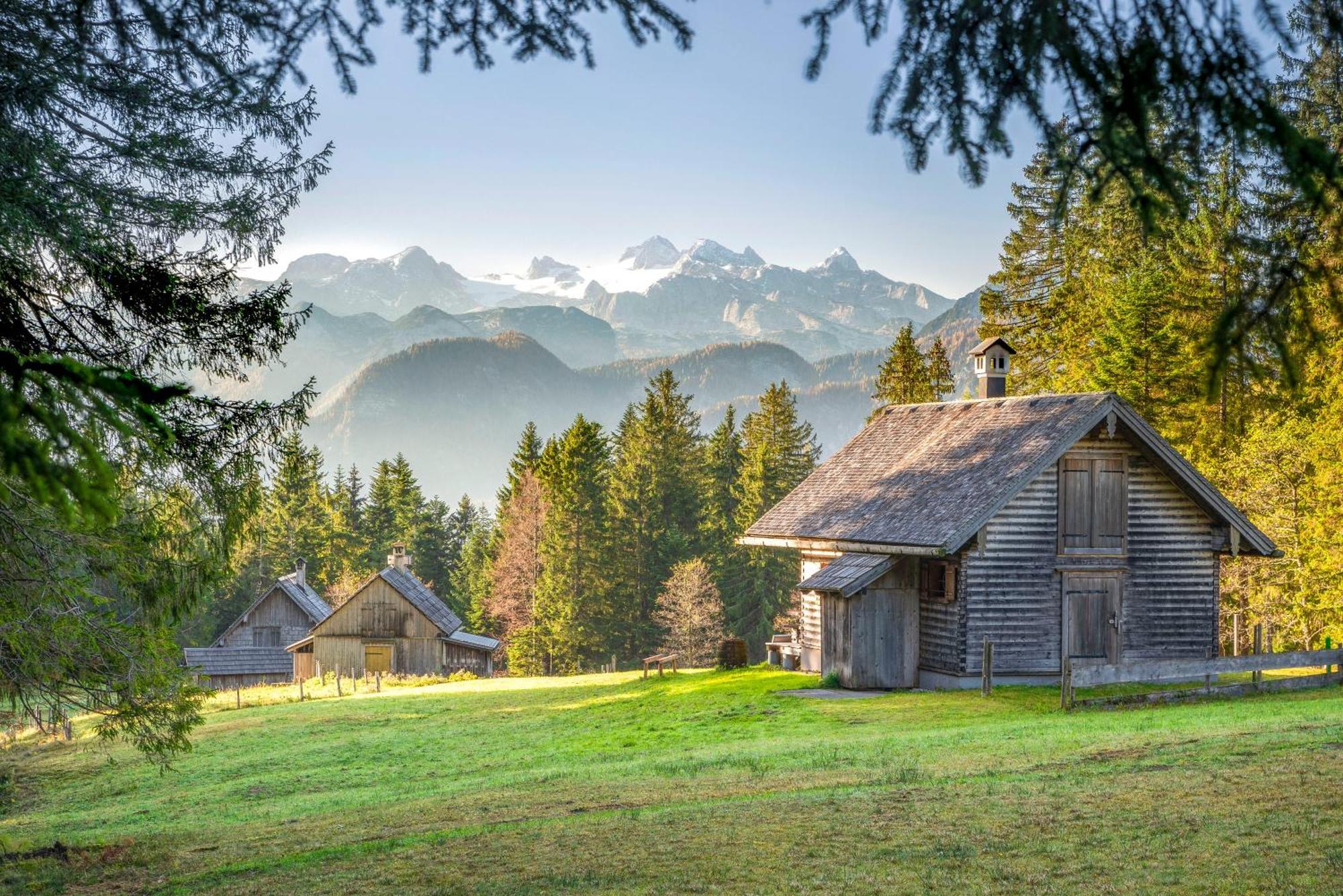 Metzgerwirt Vieh Heli Hotell Bad Goisern Exteriör bild
